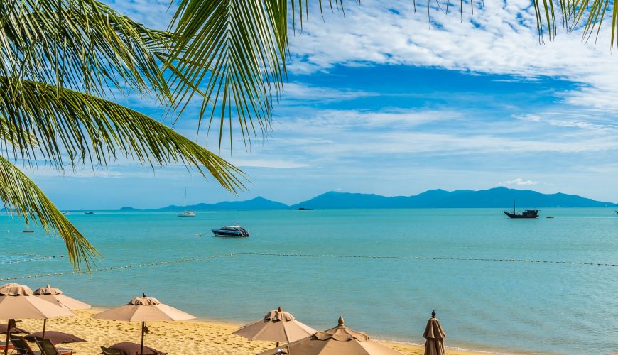 Viagens, Câmbio, Transporte para Shows e Eventos